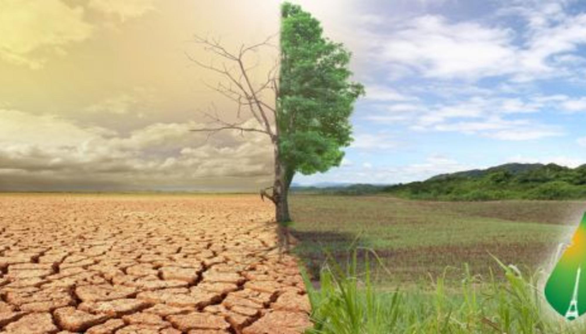 Cambio Climático